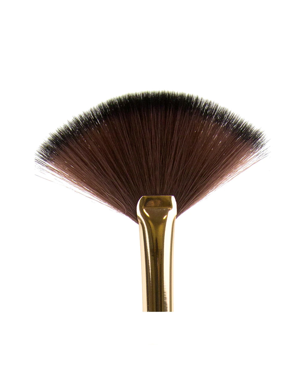 Fan Brush - 102