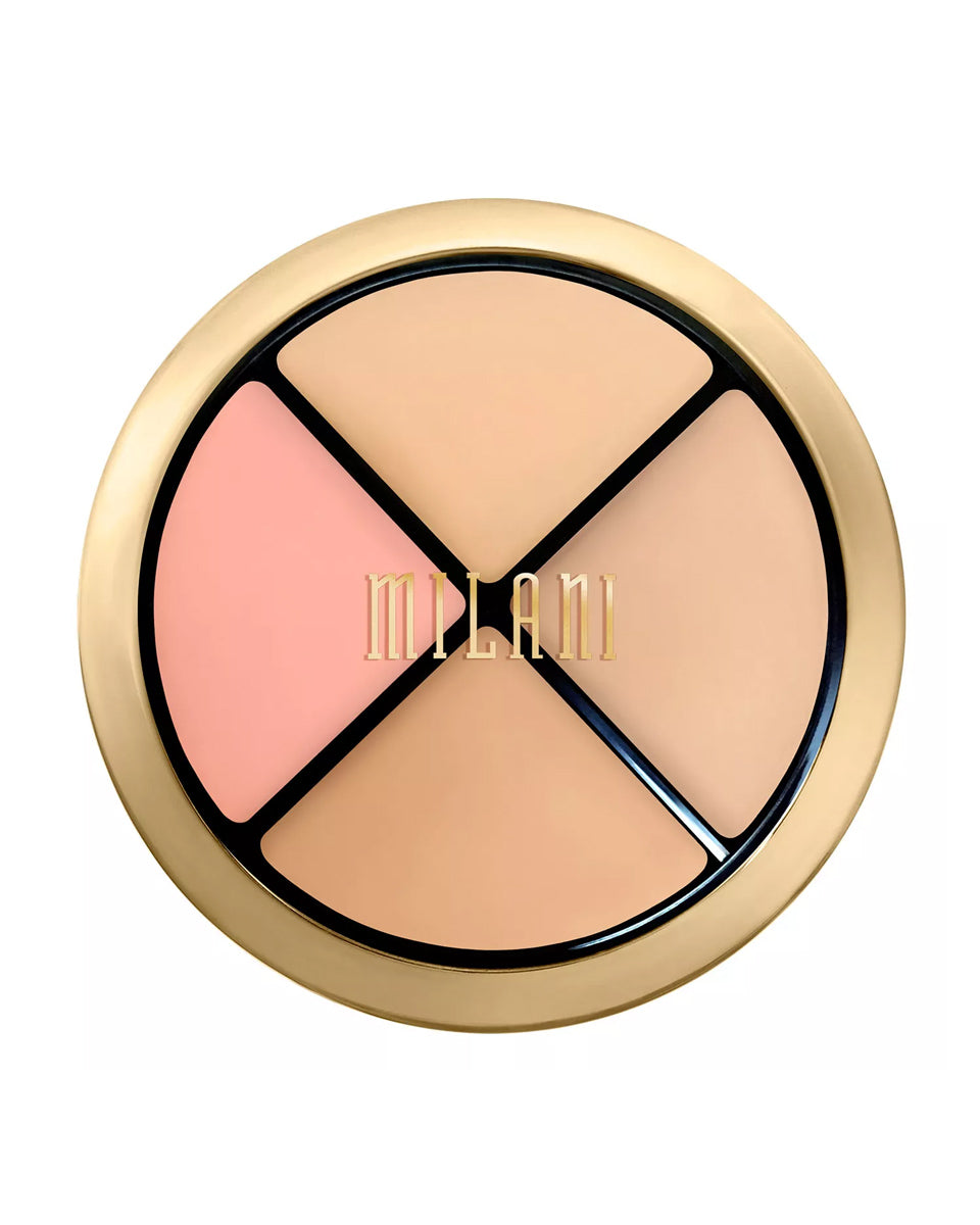 Conceal + Perfect All-in-One Palette - Fair to Light