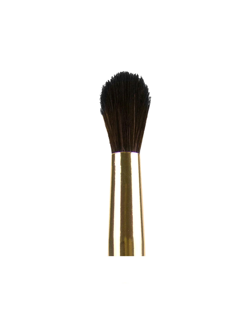 Tapered Blending Brush